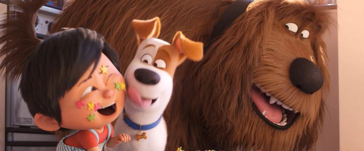 The Secret Life of Pets instal the new for apple