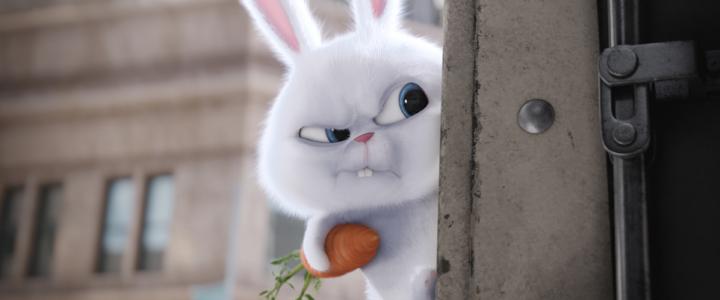 The Secret Life of Pets download the last version for ipod