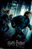 for ios download Harry Potter and the Deathly Hallows