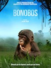 Bonobos poster